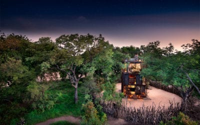 5 Remote Retreats Embrace Their Locales