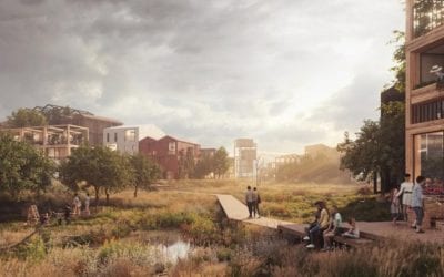 Five on Friday: January 24th, 2020