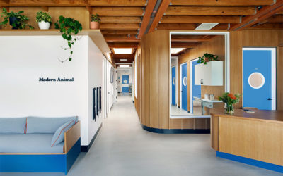 3 Design-Forward Animal Clinics