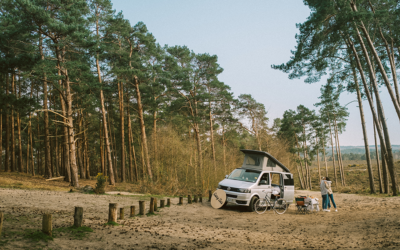 The Hoxton’s Camp Hox Returns for Summer 2021