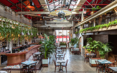 Fandi Mata Serves Up International Taste in Brooklyn