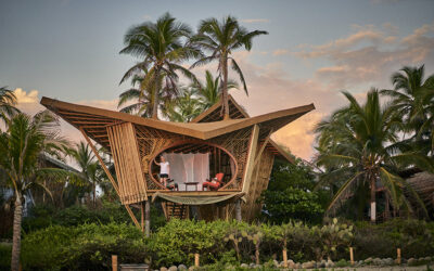 New Bamboo Treehouses Debut at Playa Viva Resort