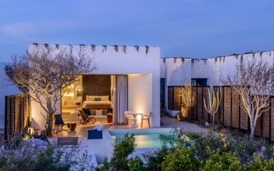 Five on Friday: July 15th, 2022