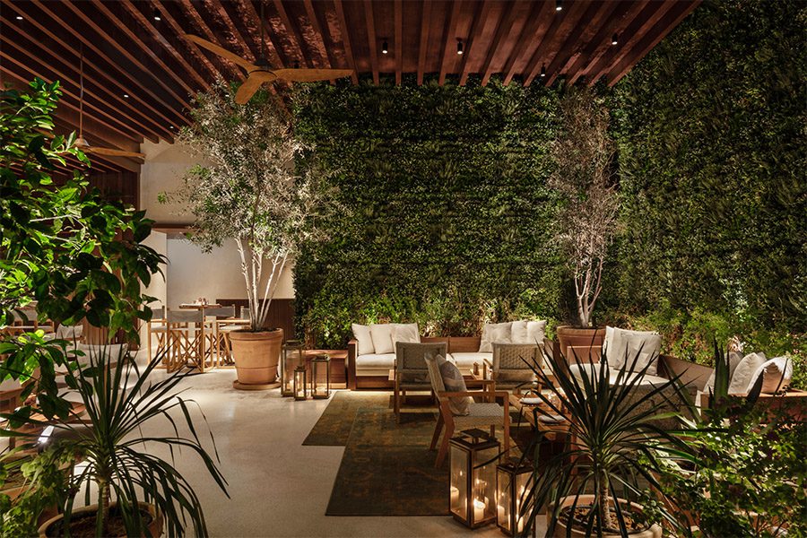 Wave of the Future 2022: Pooja Shah-Mulani, slide 4