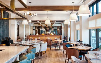 The Alamite Launches in Tuscaloosa, Alabama