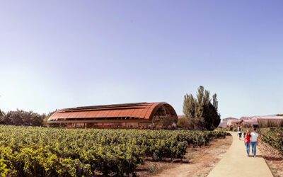Foster + Partners Reimagines Bodegas Faustino Winery