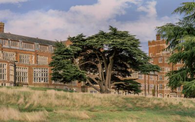 A Hip, Countryside Escape Awaits at Birch Selsdon