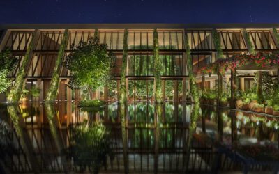 EDITION Hotels Makes Its Debut in Mexico