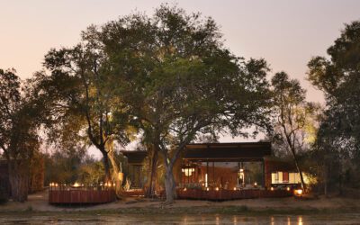 Zimbabwe’s Molori Mashuma Camp Offers Luxury in the Wild