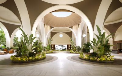 JLL’s Lori Horvath Gears Up to Speak at HD Expo 2024