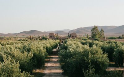 2024 Development Update: Morocco