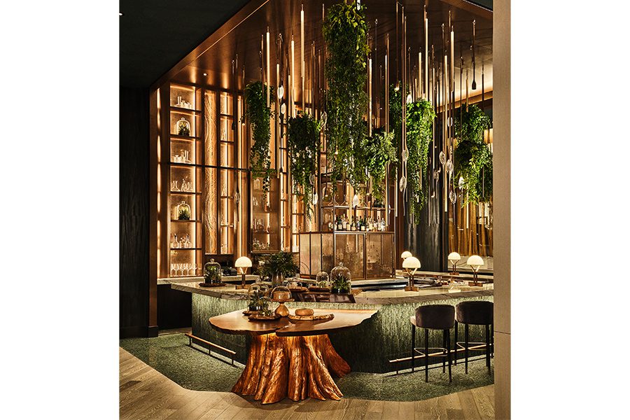 Meet the Minds: Mary Alice Palmer, slide 1