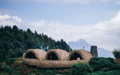 Wilderness Bisate Reserve Emerges in Rwanda