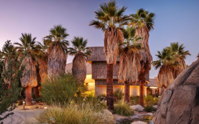 Agua Caliente Cultural Plaza Is a Cornerstone for Community
