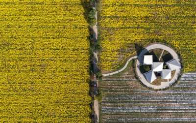 A Library Sprouts in a Flower Field Near Yuntai Mountain