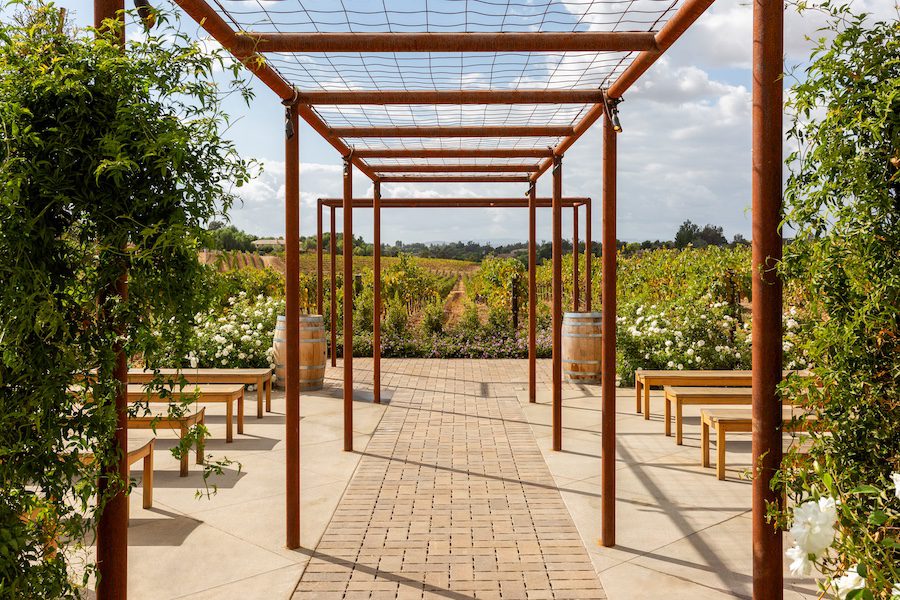 Danza del Sol Winery temecula california vineyard trellis outdoor
