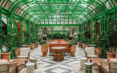 Five on Friday: February 13th, 2026