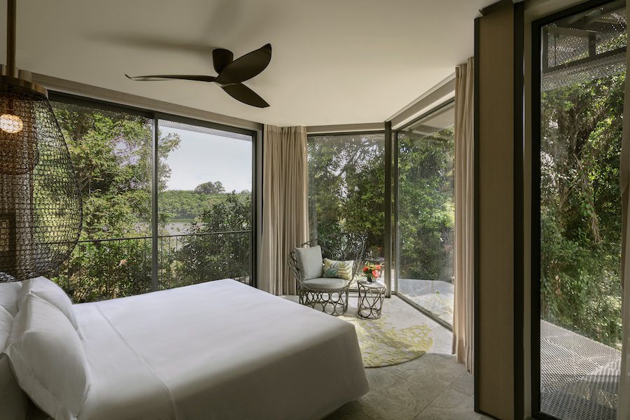 Mandai Rainforest Resort By Banyan Tree singapore biophilic design suite bed forest view