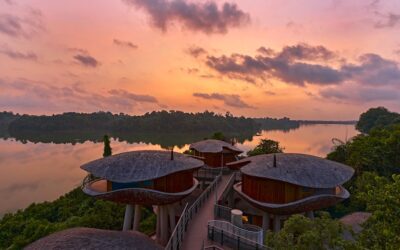 Banyan Tree Opens Mandai Rainforest Resort in Singapore