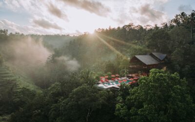 Banyan Tree Escape Launches in the Bali Jungle