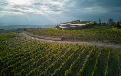 7 Tasting Rooms and Wineries Make a Visual Impact