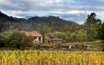 Palisociety to Open Le Petit Pali St. Helena in Napa Valley