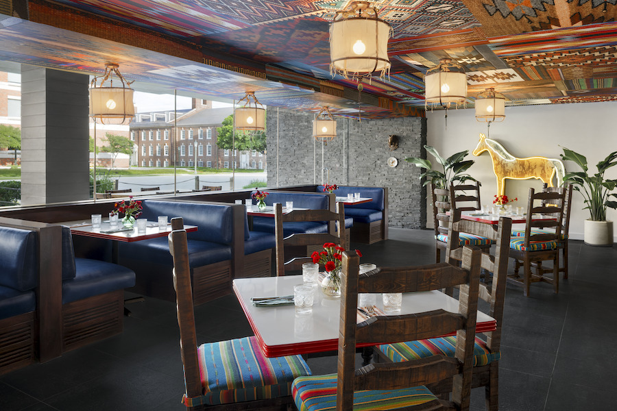 graduate dallas Southern Methodist University texas los charros signature restaurant patterned ceiling horse indoor plants blue banquettes