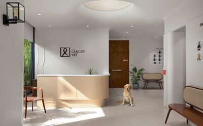 The Cancer Vet Raises the Bar for Pet-Centered Healthcare