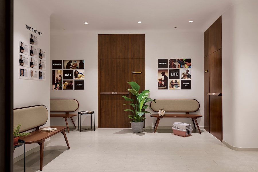 the cancer vet mumbai india veterinary oncology medical center hospital waiting area benches wooden door cat crate