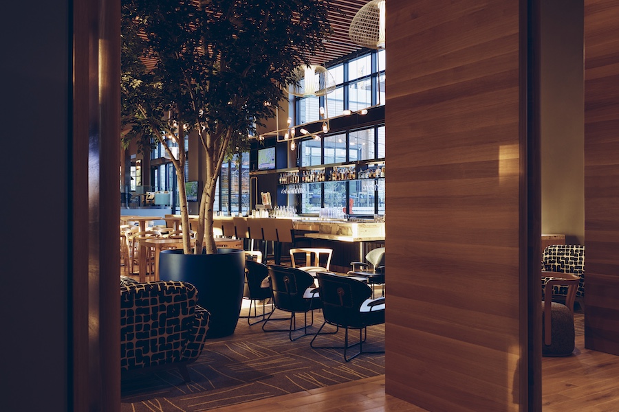limelight boulder university of colorado boulder all electric sustainable hotel mountains indoor tree plant lobby restaurant bar
