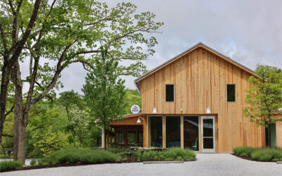 Designers Took the Lead—and the Deed—on These Hotels