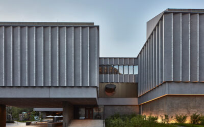 Five on Friday: November 7th, 2025