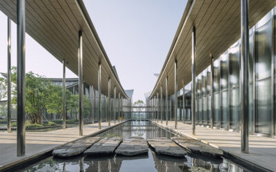 Five on Friday: November 14th, 2025