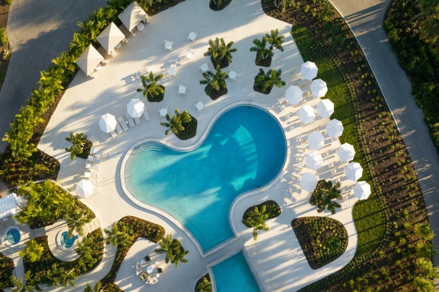 Saddlebrook Resort tampa florida redesign pool aerial view white umbrellas