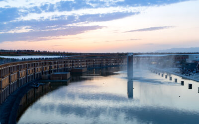 Five on Friday: February 20th, 2026