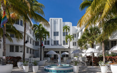 Treehouse Hotel Miami Beach Takes Root in the Art Deco District