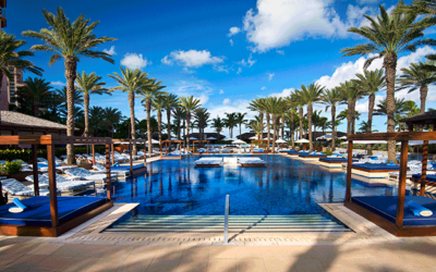 The Cove Reveals Upgrades