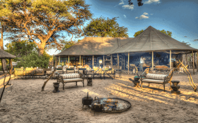 Safari Lodging Concept Natural Selection Debuts