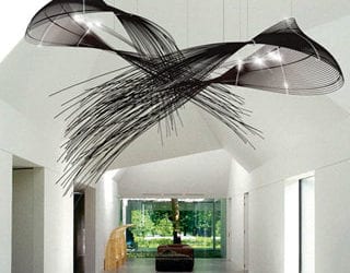 Fantail from Yellow Goat Design