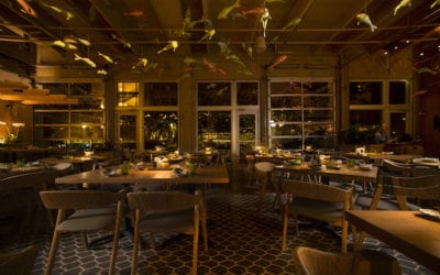 Alejandro Barrios-Carreros Designs the Sushi Garage
